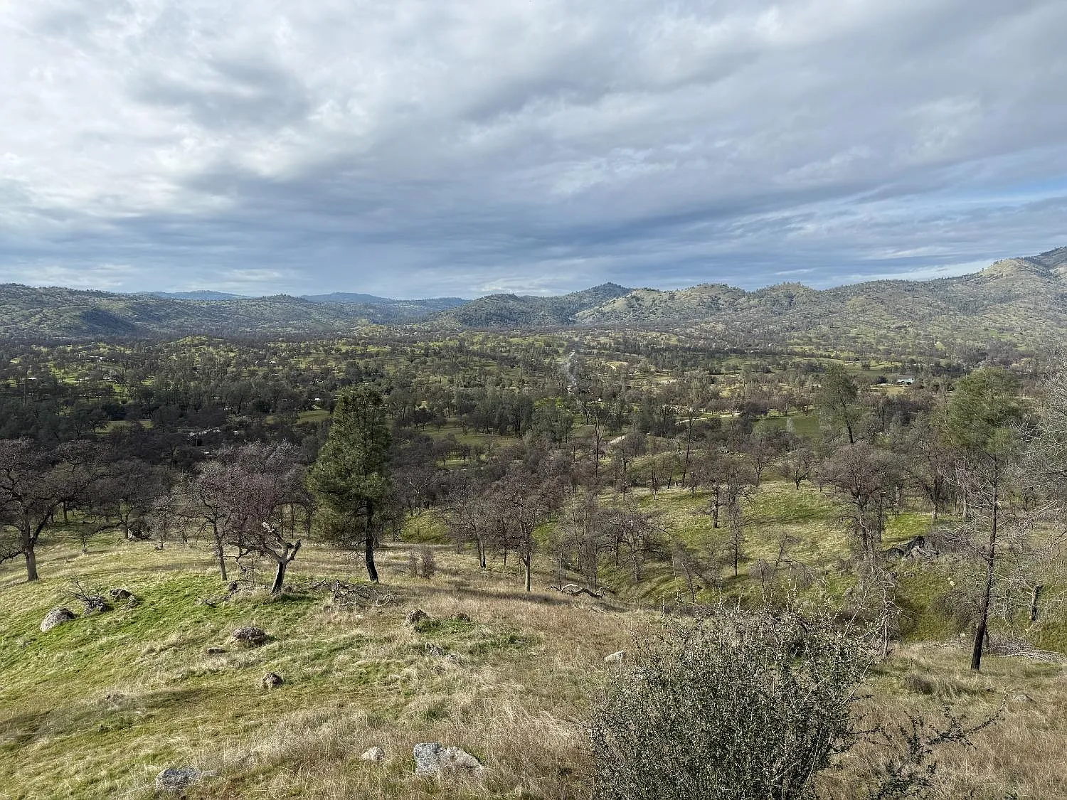 9 Road 810 photo 1