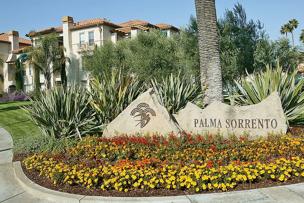 Palma Sorrento at Palm Valley — Photo 2
