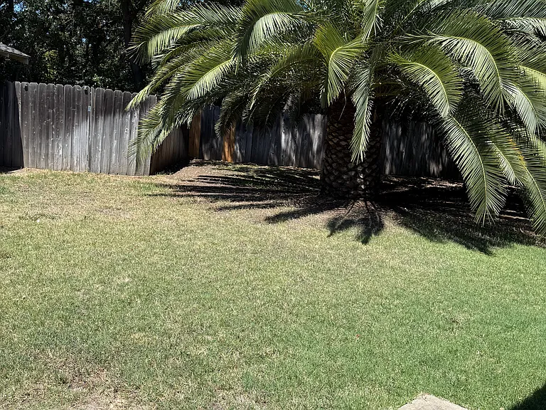 1505 Blackoak Dr #1501 — Photo 15