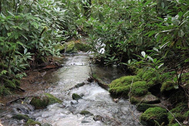 1st image of Gold Creek Rd