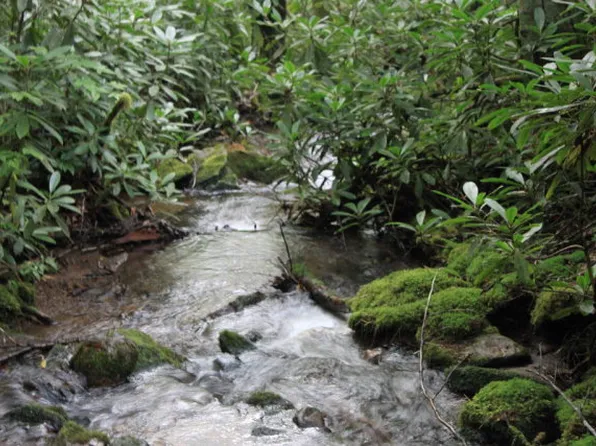 Gold Creek Rd, Topton, NC 28781