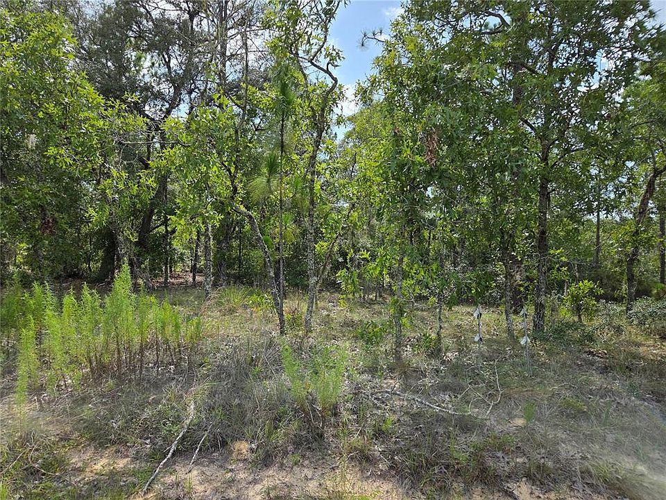2nd image of 0000 NE 150TH AVENUE LOT 3