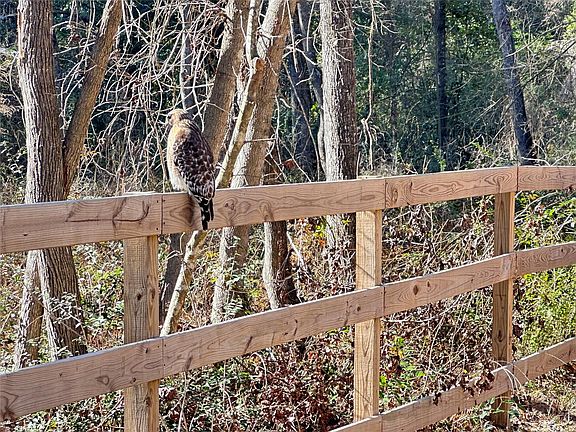 4th image of 29627 Spring Forest Dr