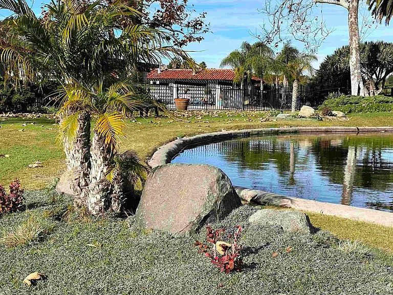 5268 Don Valdez Dr — Photo 25