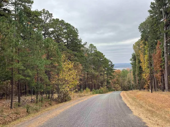 3 Lake Park Dr, Shirley, AR 72153