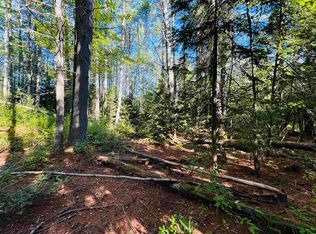 116 Nutting Rd, Sunapee, NH 03782