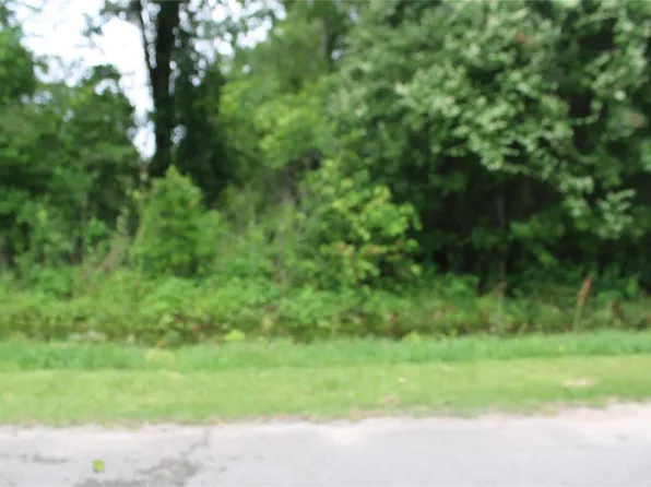 165 County Road 1335c Lot 20, Liberty, TX 77575