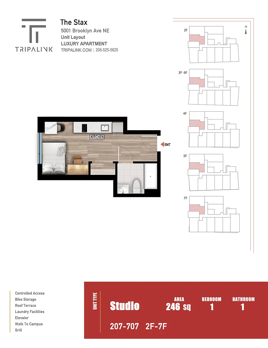 Floor plan Studio - 246 sqft
