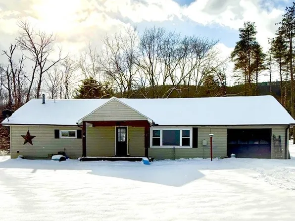 233 W Branch Rd, Smethport, PA 16749