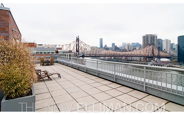 Sold by Douglas Elliman | media 8