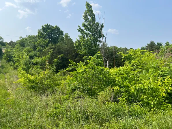 0 Little Warrensburg Rd, Midway, TN 37809