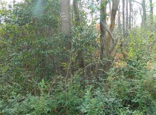 252 Quinby Cir, Quinby, SC 29506