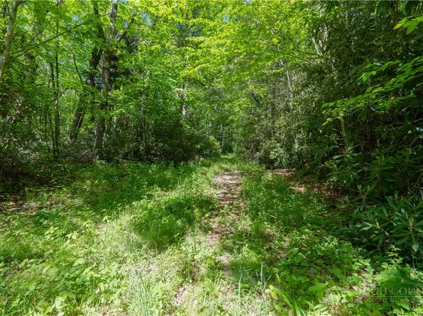 TBD Black Bear Trail, Blowing Rock, NC 28605