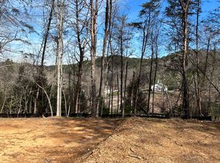 67 River Rd, Mineral Bluff, GA 30559