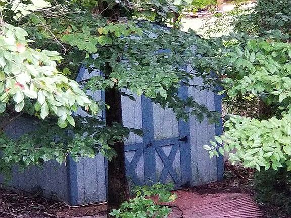 large backyard with shed