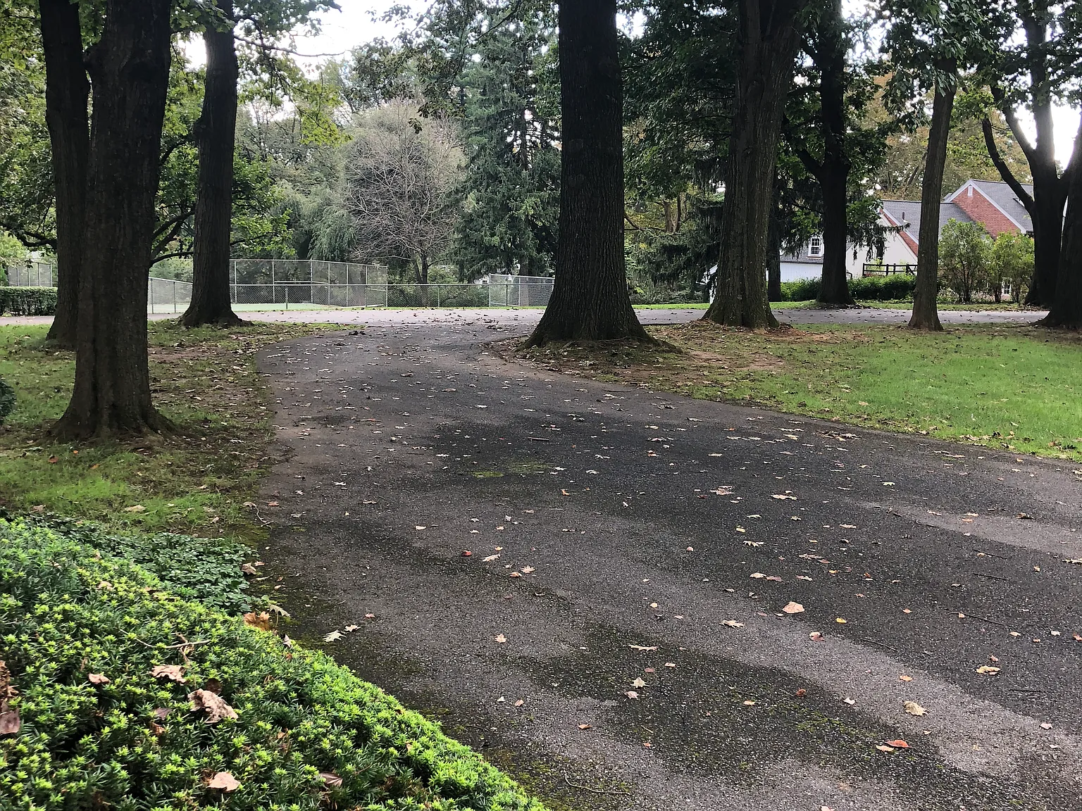 7 bed, 13667 sqft, $1,200 — Photo 4