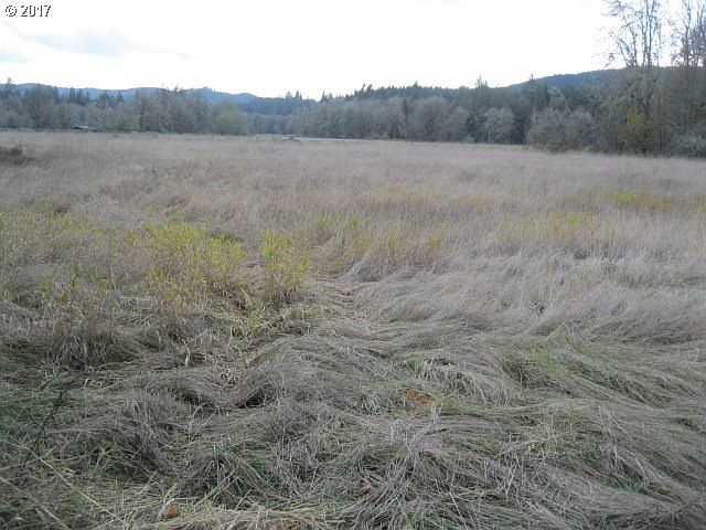 2nd image of Kirk Rd