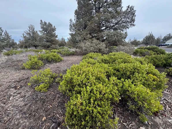 1 Woodside Rd Lot 162, Weed, CA 96094