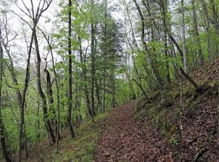 Little Back Creek Rd, Warm Springs, VA 24484