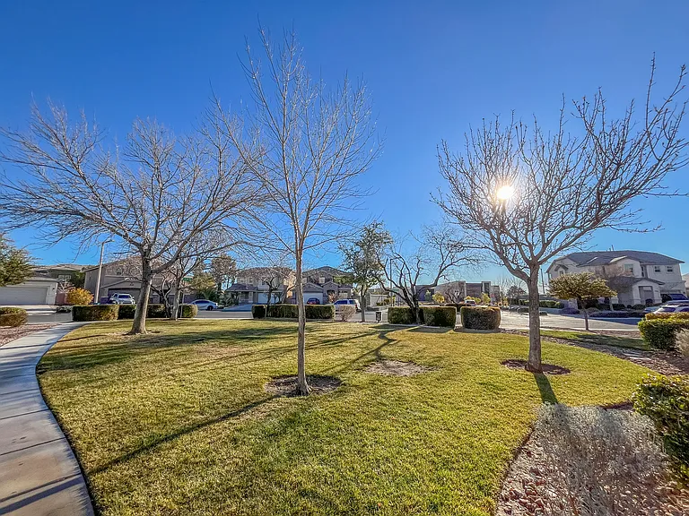 3335 Antique Rose Dr — Photo 55