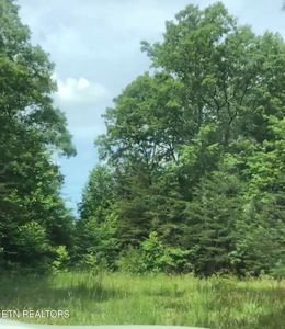 14 Clear Fork Rd, Jamestown, TN, 38556