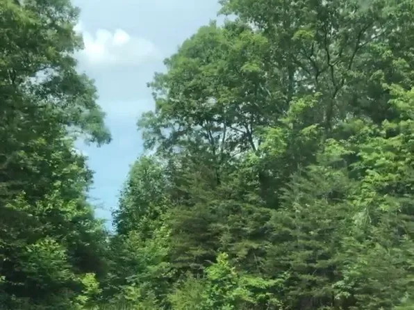 14 Clear Fork Rd, Jamestown, TN 38556