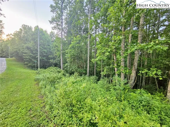 Lot 21 Eagles Landing Dr, Crumpler, NC 28617