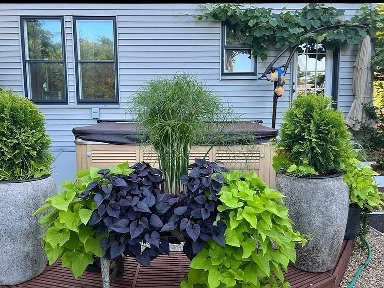 10 Cove Ave — Photo 6