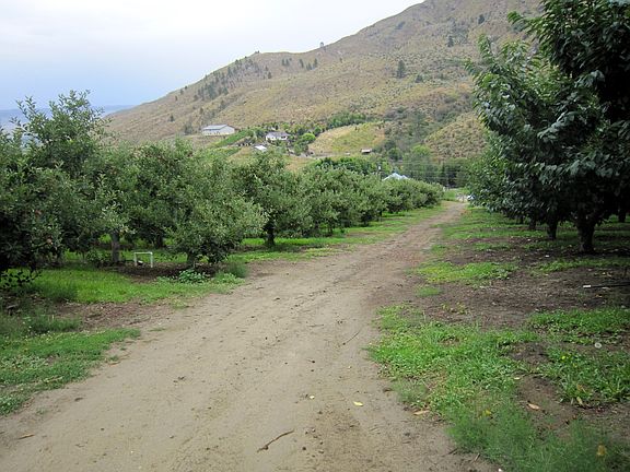 Large Profitable Property