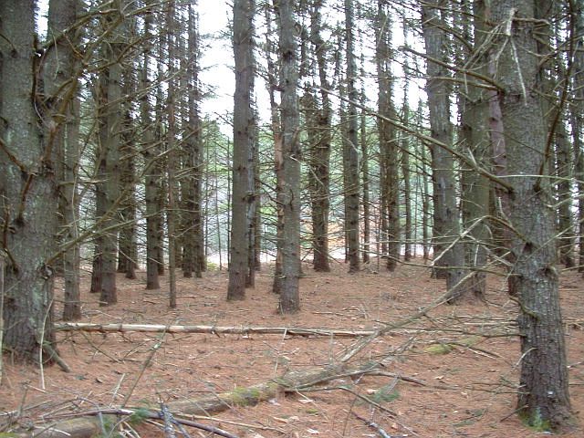 2nd image of 438 Hazen Rd