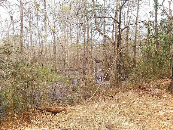 5th image of 14071 Cypress Crest Ln