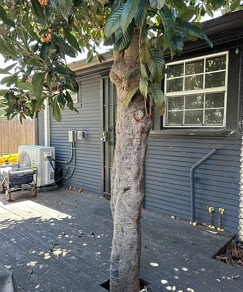 3488 Davis St — Photo 17