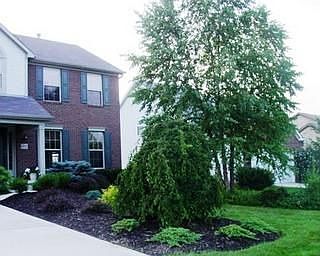 2nd image of 8502 Juniper Dr
