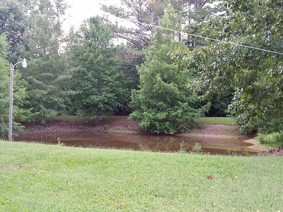 pond