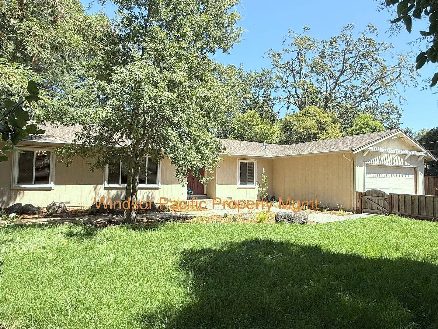 Remodeled one story home in highly desirable Alamo with huge park like yard ! — Photo 2