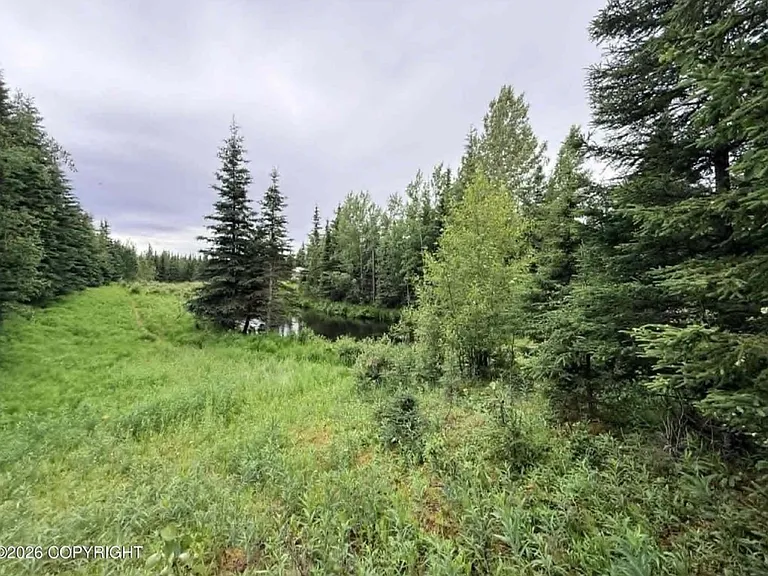 37350 Chinook St — Photo 32