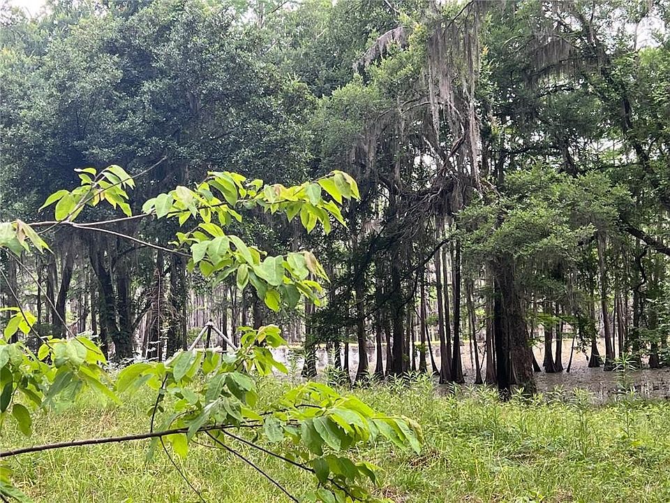 2nd image of Stumps Camp Rd