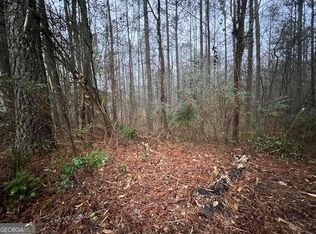 78 Bonds Ct, Hiram, GA 30141