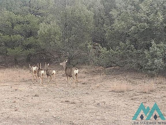 2nd image of County Road 322 Dr