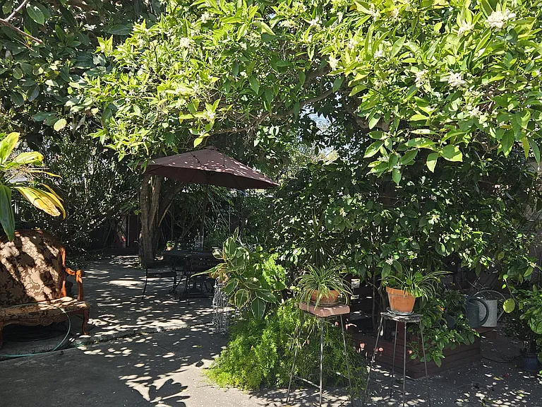 Daisy Ave — Photo 47