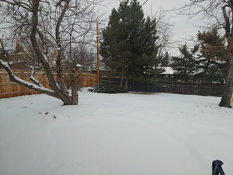 3295 Emerson Ave — Photo 35
