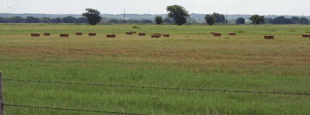 1st image of 1234 County Road 182