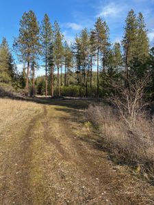 441X Highway 231 S Parcel 2463200, Springdale, WA, 99173