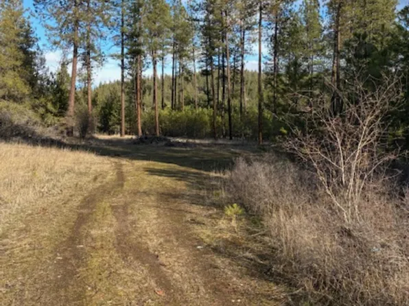 441X Highway 231 S Parcel 2463200, Springdale, WA 99173