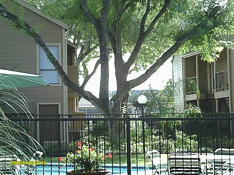 Bridgestone Apartments — Photo 5