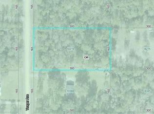 10270 Yeager Ave, Hastings, FL 32145