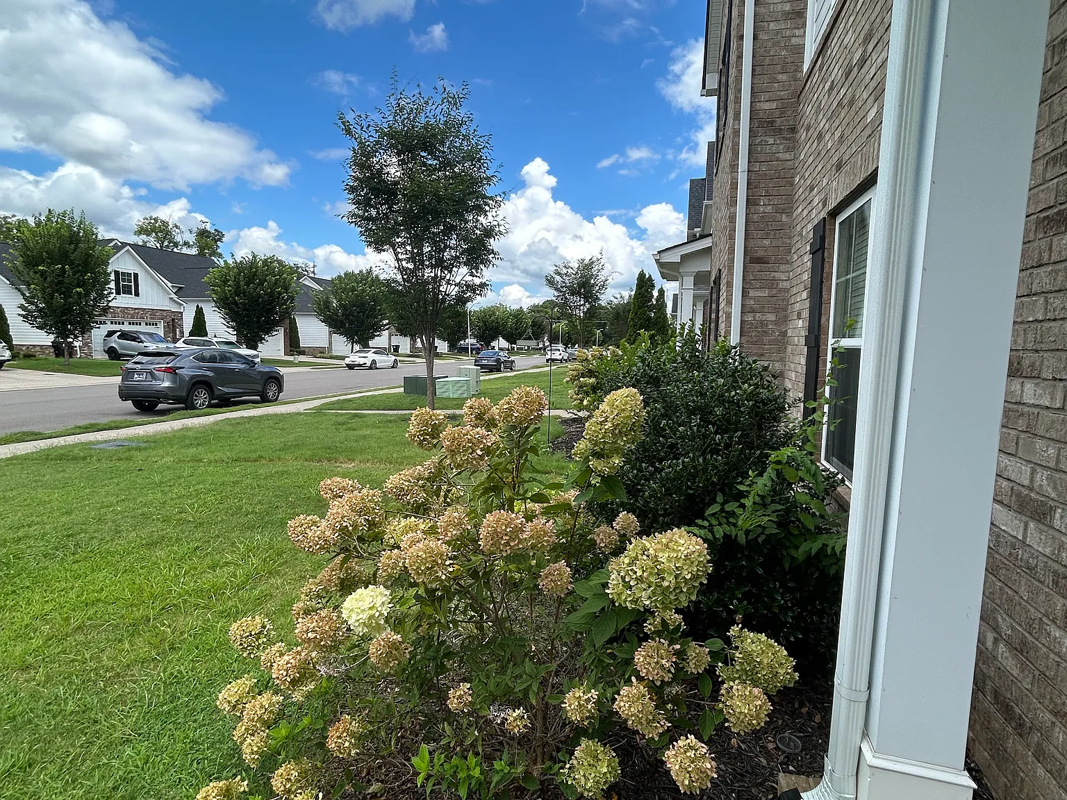 3 bed, 2.5 bath, 2200 sqft, $2,200 — Photo 2