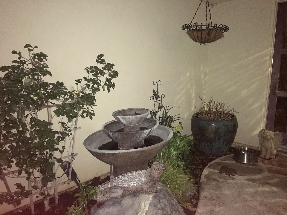Courtyard garden & fountain