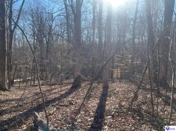 1848 Levelwoods Rd, Buffalo, KY 42716