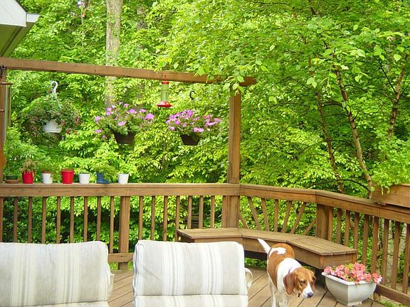 Back deck